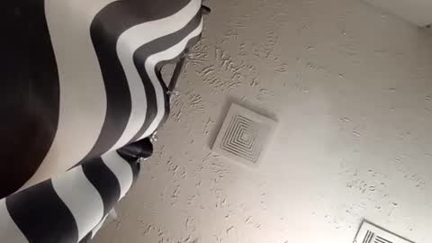 Snapshot of wanttowatch87 chatting on February 2025 07:34:02 AM wanttowatch87 online show from February 2025 07:34:02 AM