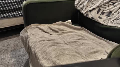 Snapshot of watcher950585 chatting on January 2025 09:57:02 PM Daddy online show from January 2025 09:57:02 PM