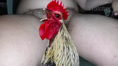 classified online show from December 2024 01:34:02 AM