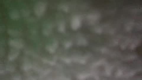 wccharliewc online show from May 2026 01:36:02 AM
