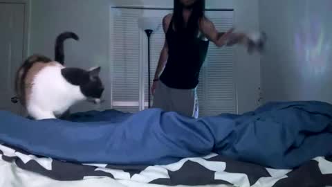 weedwacker43 online show from December 2024 07:03:01 AM