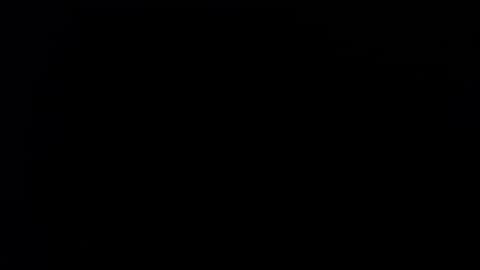 wellingtont online show from September 2025 04:36:01 AM