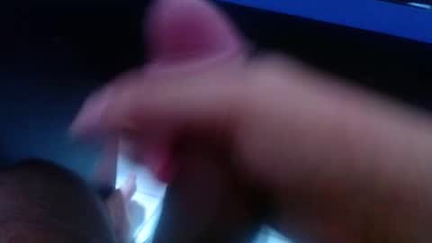 wellingtont online show from January 2026 09:24:02 AM