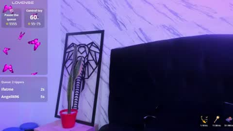 wen_gp online show from July 2026 08:02:01 PM