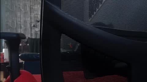 Wetbigdickstream online show from March 2026 11:32:01 PM