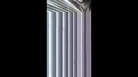 wetone308084 online show from May 2026 02:54:01 PM