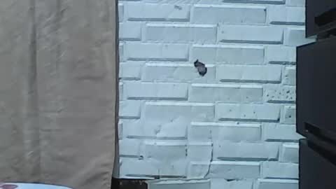 Snapshot of wettyhottie69 chatting on February 2026 06:11:02 AM wettyhottie69 online show from February 2026 06:11:02 AM