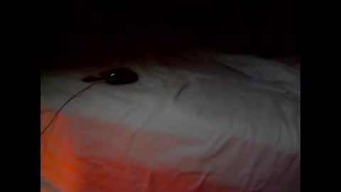 wgefwdtfvnlx online show from February 2026 07:34:02 PM