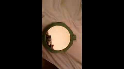 whetedoyouwantmetoputit online show from March 2026 10:02:02 PM