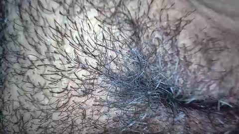 Snapshot of white_sexy_ chatting on November 2025 10:15:02 AM white_sexy_ online show from November 2025 10:15:02 AM