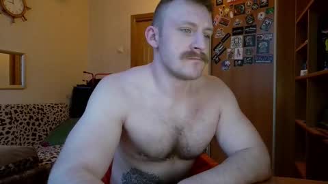 Snapshot of whitebull97 chatting on February 2026 06:06:02 AM WhiteBull online show from February 2026 06:06:02 AM