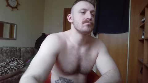 WhiteBull online show from March 2026 07:15:01 AM