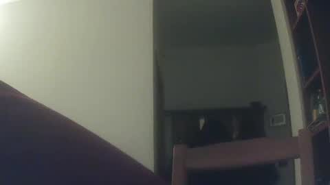 Whiteduke online show from December 2024 06:17:01 PM