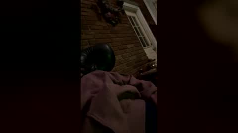 whiteshaveduke online show from February 2026 09:36:02 AM