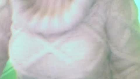 Snapshot of whitesweater chatting on March 2025 07:32:01 AM whitesweater online show from March 2025 07:32:01 AM