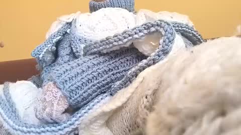 Snapshot of whitesweater chatting on March 2026 06:50:02 AM whitesweater online show from March 2026 06:50:02 AM