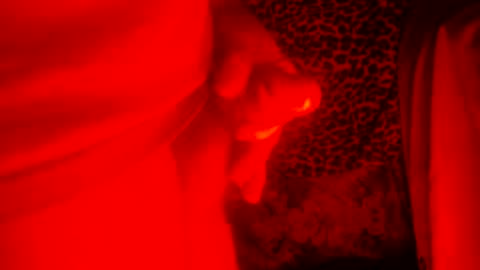 Snapshot of whor4mor chatting on December 2024 01:39:02 PM whor4mor online show from December 2024 01:39:02 PM