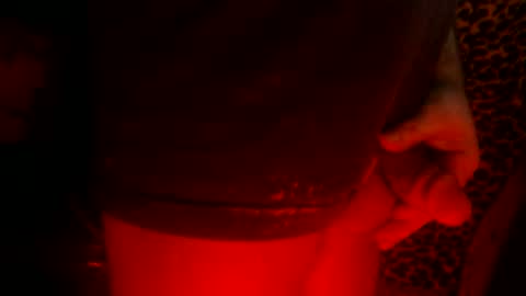 whor4mor online show from February 2025 02:26:01 PM