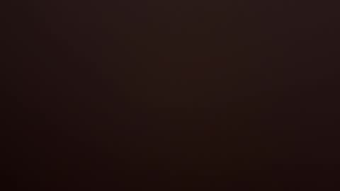 VI online show from February 2026 10:23:02 AM