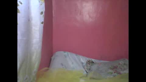 wild_sunflower11 online show from December 2024 03:40:01 AM