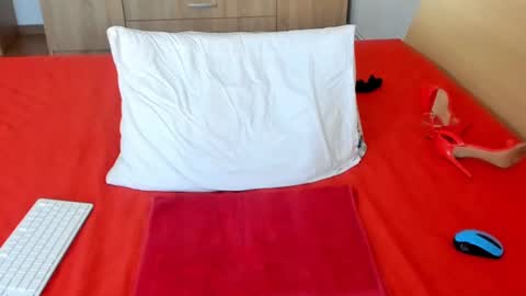 Snapshot of wildallisa chatting on March 2025 01:45:01 AM Alissa online show from March 2025 01:45:01 AM