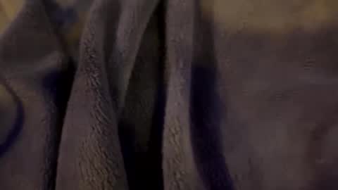 wiley0520 online show from January 2026 09:03:02 AM