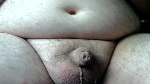 Snapshot of willcoyote chatting on August 2026 07:40:01 AM Willy online show from August 2026 07:40:01 AM