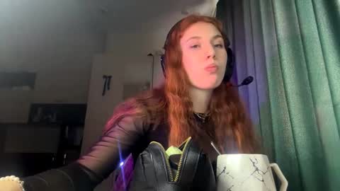 Snapshot of willeneroediger chatting on February 2026 02:13:01 PM Alice online show from February 2026 02:13:01 PM