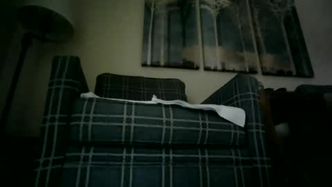 Willhedoher online show from December 2024 08:09:01 PM