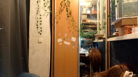 Phoebe online show from February 2026 08:47:01 PM