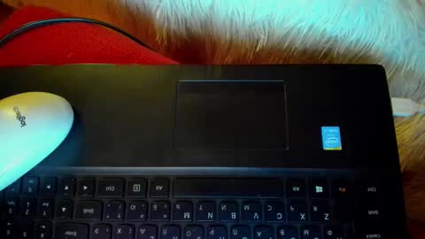 Winter Miracle online show from January 2025 07:36:02 AM