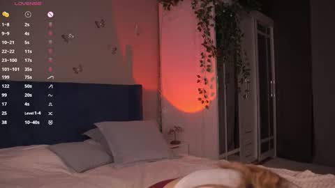 Hollis online show from December 2025 09:00:01 PM