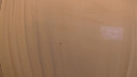 Mater online show from October 2025 03:34:01 PM