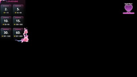 wittleweeel2 online show from February 2025 10:17:02 AM