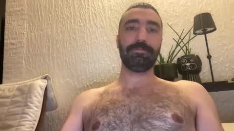 wolcott2026 online show from April 2026 01:36:01 AM