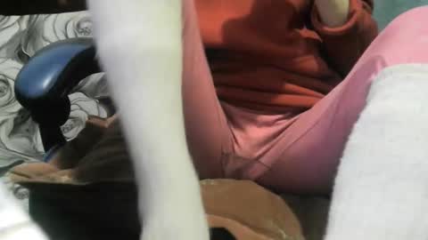 Snapshot of wolfxsnow chatting on February 2026 10:49:02 AM wolfxsnow online show from February 2026 10:49:02 AM