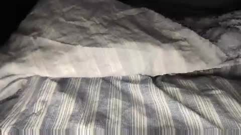 Sultan Blaze online show from February 2025 10:39:02 AM