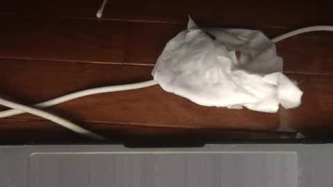 Sultan Blaze online show from February 2026 05:03:01 AM