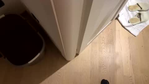 wolfyy1980 online show from June 2026 04:29:02 PM