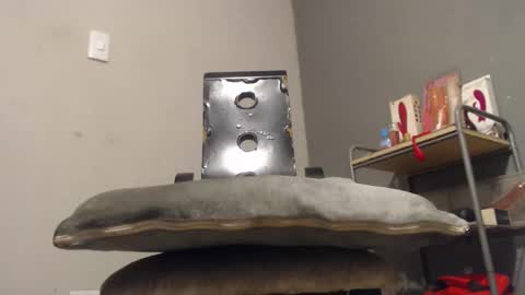 SHENIEL RODRIGUEZ online show from December 2025 11:00:02 PM