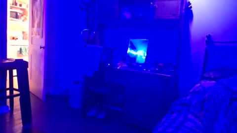 wowsers7 online show from November 2025 01:11:01 AM