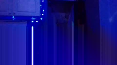 BONER DONOR online show from January 2025 07:28:02 PM