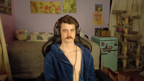 Wyatt online show from January 2026 08:19:02 AM