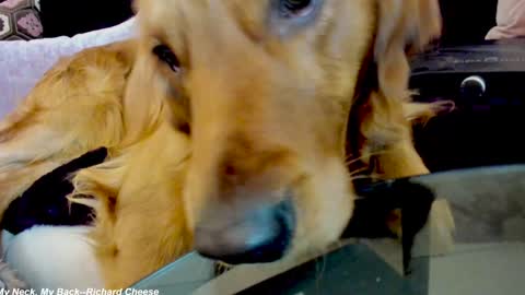 Lily online show from January 2025 02:38:01 AM