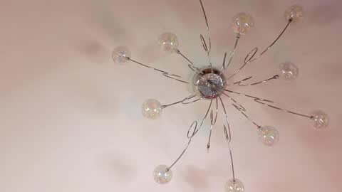 Elvin online show from February 2026 01:44:02 PM