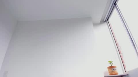 Xavier online show from January 2025 07:13:02 PM