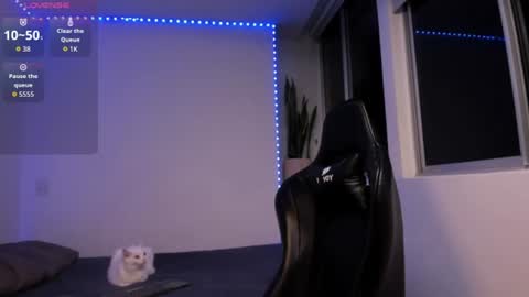 Snapshot of xavier_colleman chatting on June 2026 12:13:02 AM Xavier online show from June 2026 12:13:02 AM