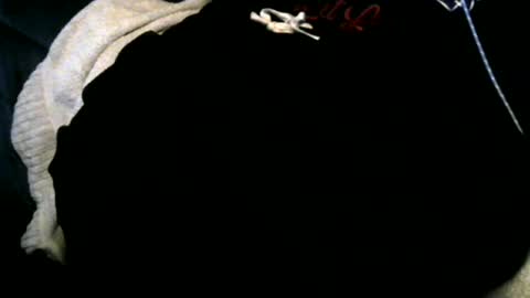 Toke online show from December 2024 06:57:02 AM