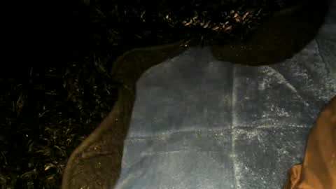 Toke online show from January 2025 09:57:01 AM