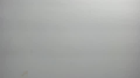 Xime  online show from February 2026 03:07:02 AM